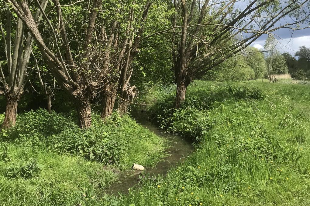 Molen- & Maalbeek wandeling