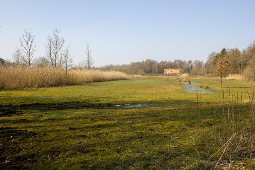 speelhof