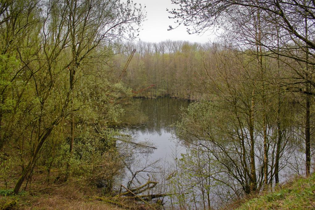 jongste kleiput