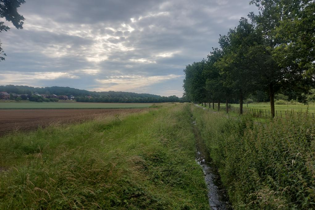 Molenbeekvallei