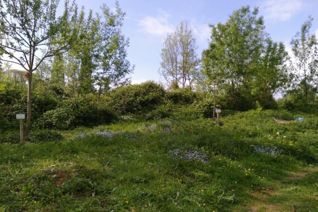 Boomgaard Laarbeekbos