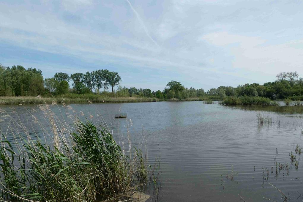 Jutse Plassen 006