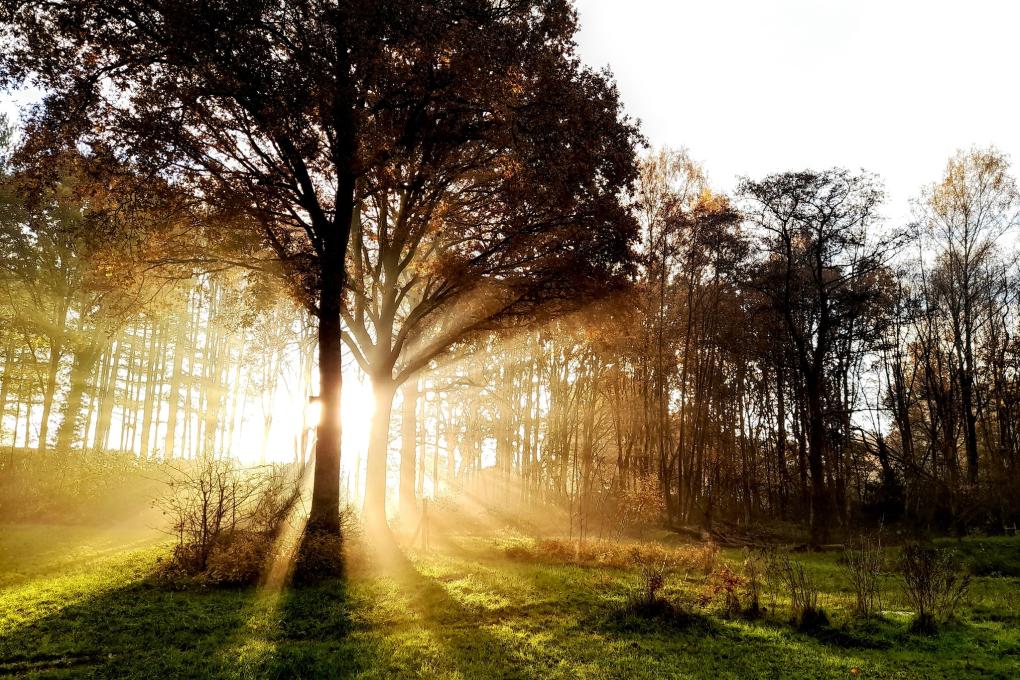 Zonsopgang in de Demerbeemden