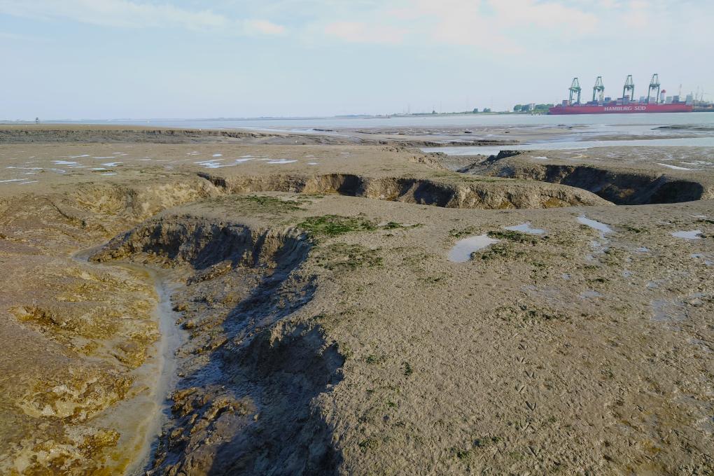 Schor-Ouden_Doel