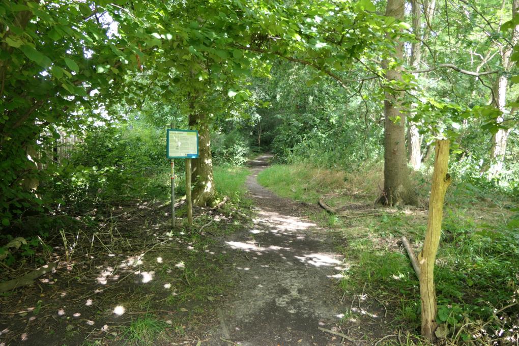 Oude Spoorwegberm