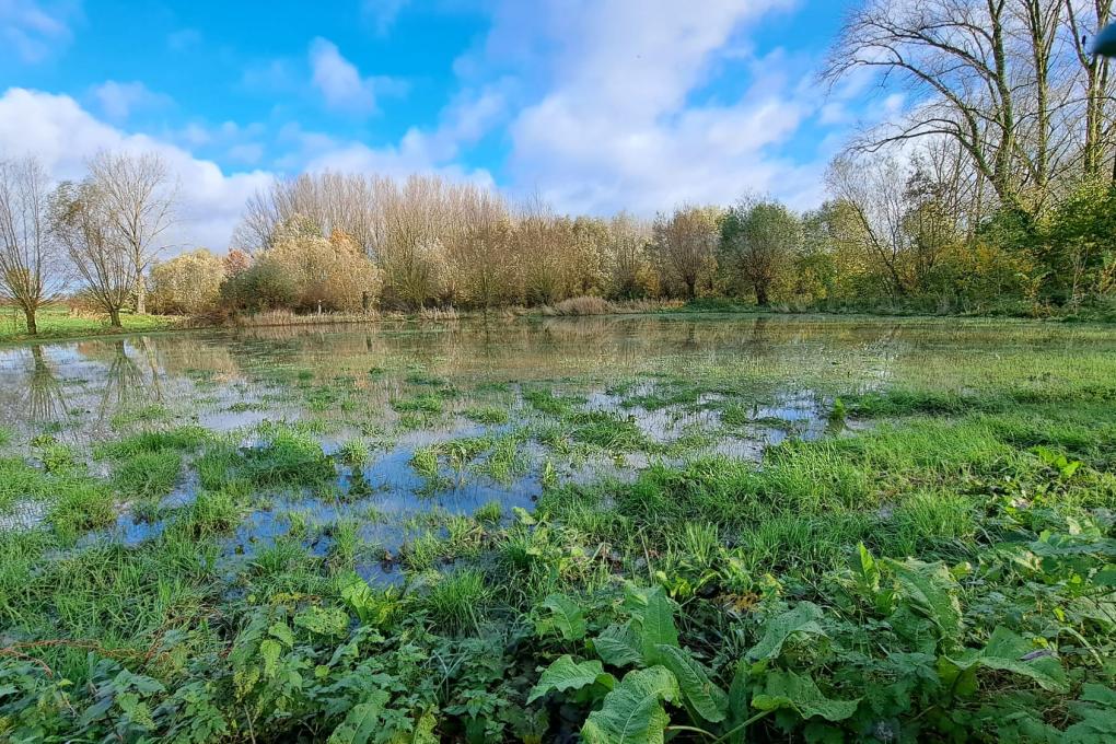 Natuurpunt Oosterzele sfeerbeeld