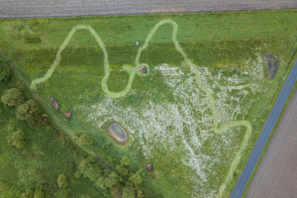 drone opnamen van een sinuspad door het gebied