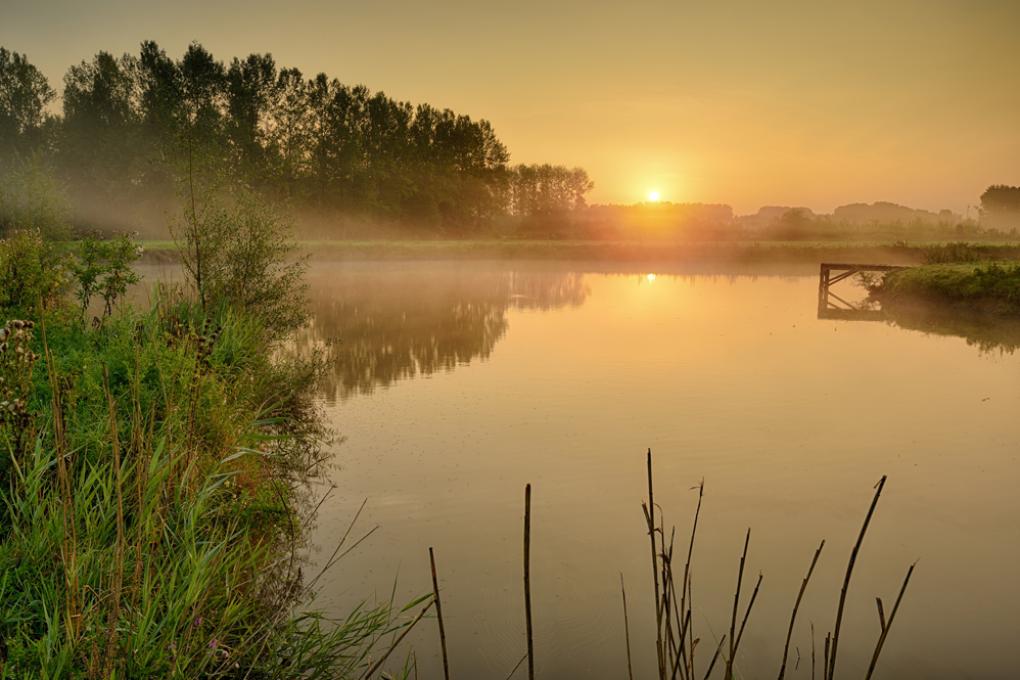 Natuurgebied van de Maand (2015/08): Demerbroeken