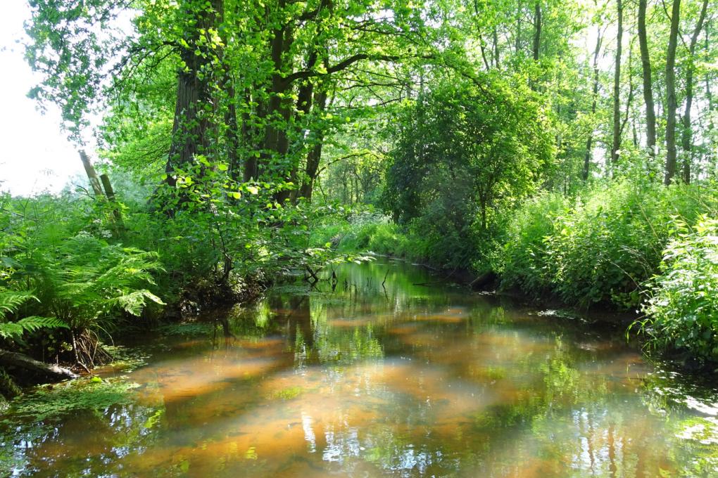 De Laakvalleien - De Kleine Laak