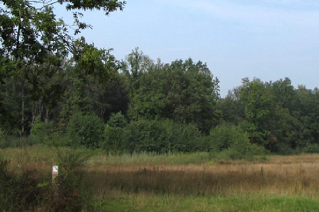 Goor-Asbroek