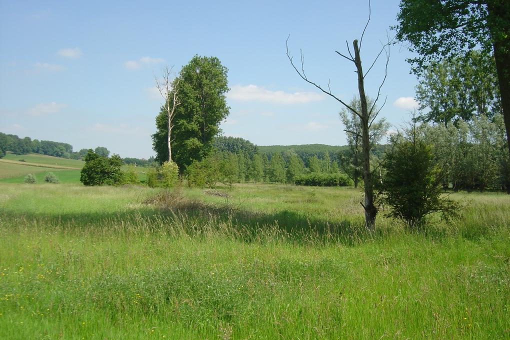 Zwalmvallei Jansveld
