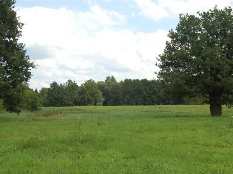 Prinsenveld
