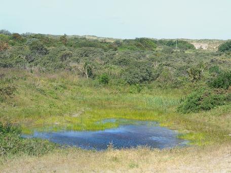 Overzicht Paelsteenpanne