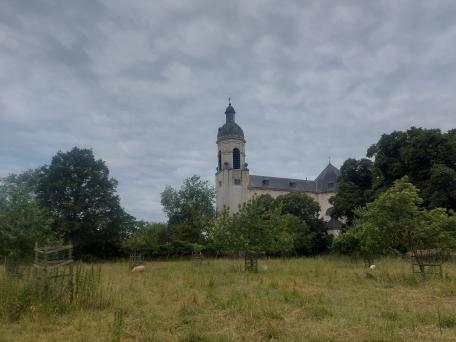 Vlierbeek