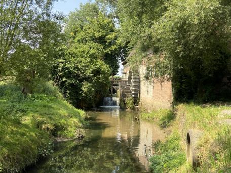 Grimbergse beekvalleien - Liermolen