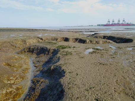 Schor-Ouden_Doel