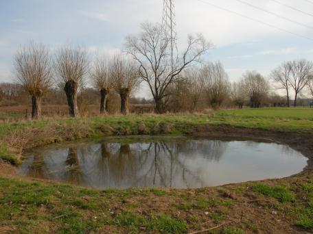 Kom wandelen in de Bomputten