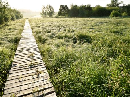 everbeekse bossen
