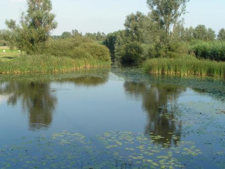 Saleghem Krekengebied