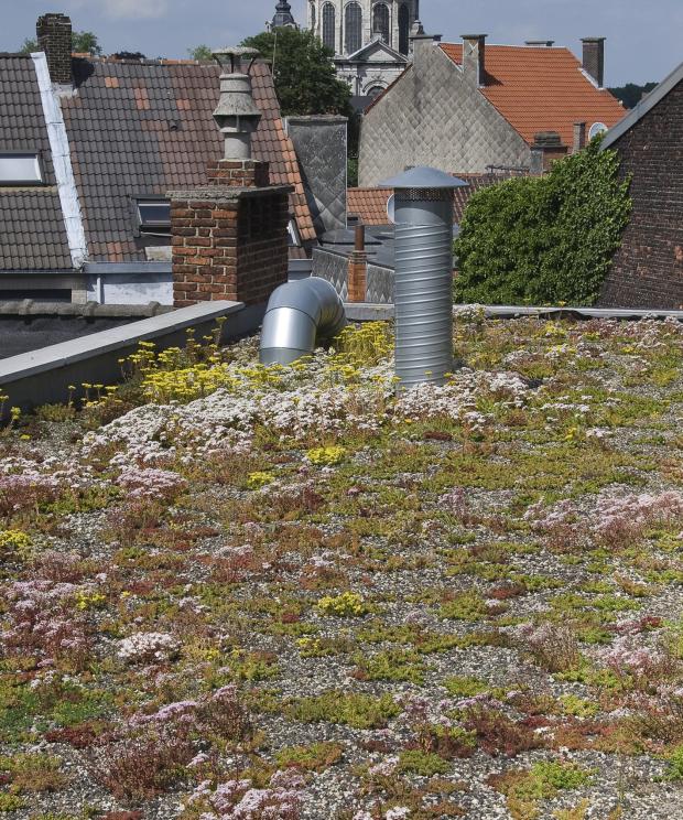 Groendak Natuurpunt - Edgard Verhasselt