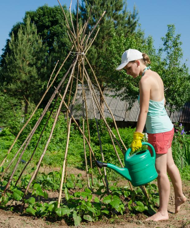 Tuin - Bonentipi bouwen - Shutterstock