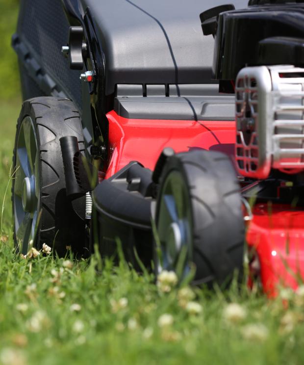 Tuin - Grasmaaier - Rijk gazon - Shutterstock