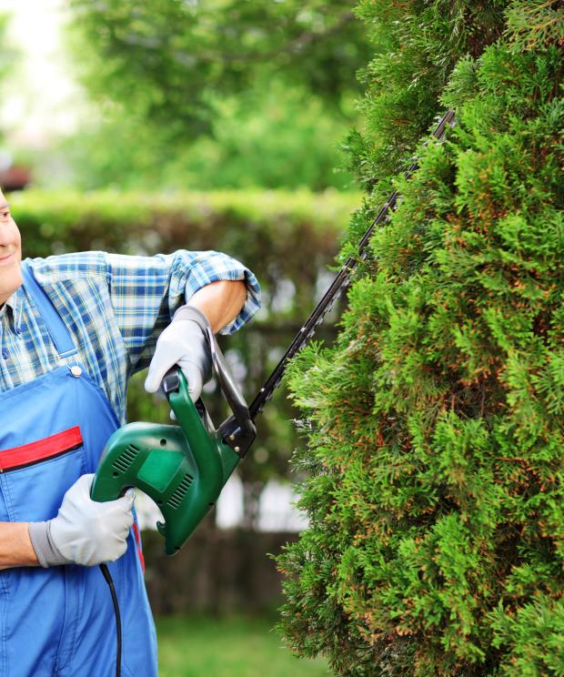 Tuin - Tuinieren - Tuinman - Haag - Shutterstock
