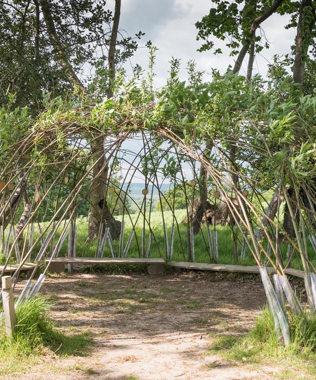 Tuin - Wilgenhut - Shutterstock