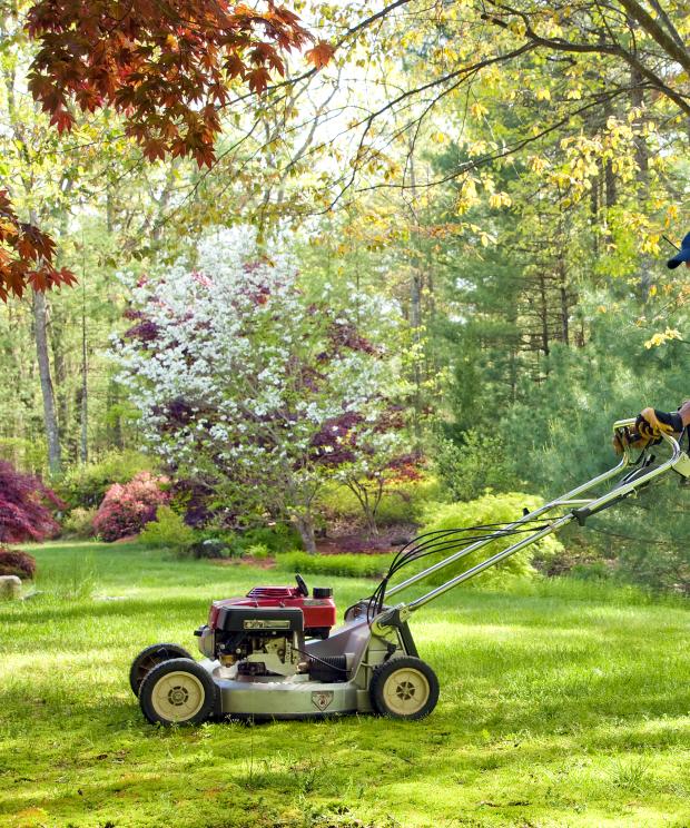 Tuin - waardevol gazon - Shutterstock