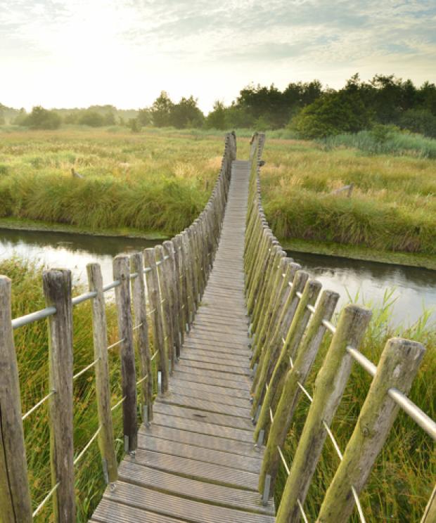 Hageven - Hangbrug - Vilda