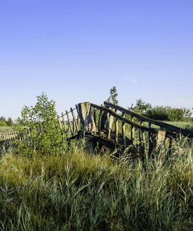 Hangbrug Hageven - Stefan Nimmegeers