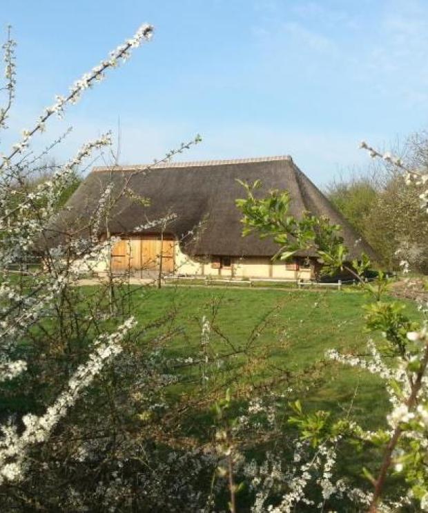 vorselaar - schupleer - graafweide - schapenstal - Natuurpunt