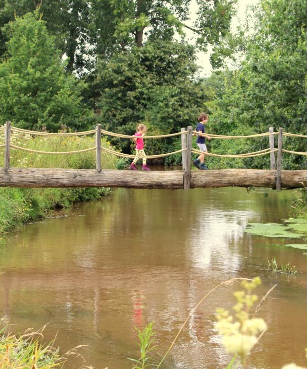 Grote Netewoud - Totterbrug - Stein Temmerman