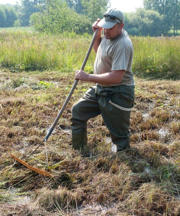 NLZ - Natuurbeheer - Wim Dirckx