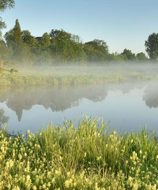 Natuurpark Levende Leie