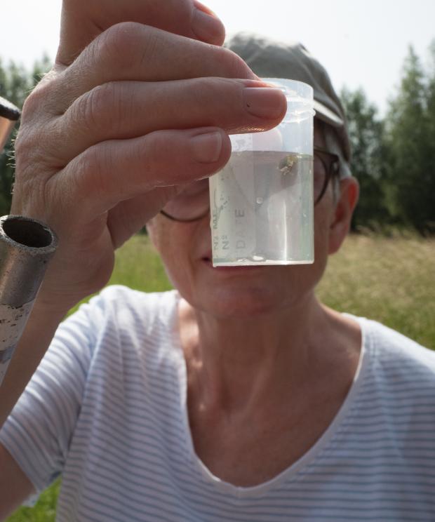 Analyse waterstaal