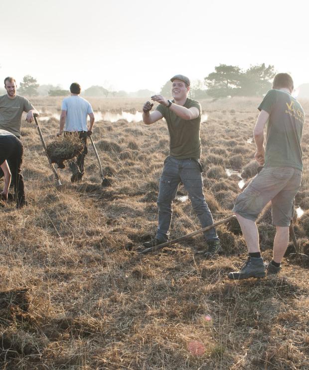 Teambuilding - Wim Dirckx
