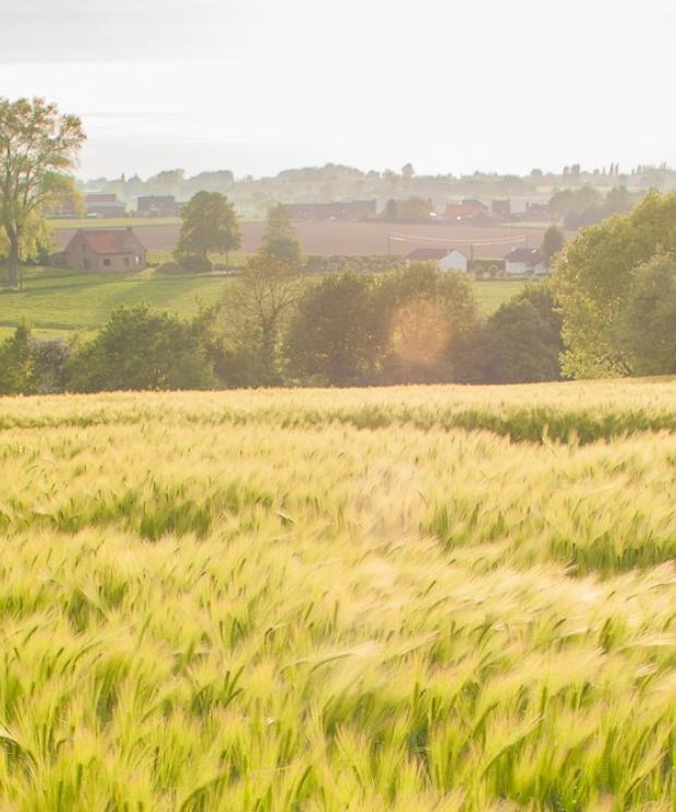 Natuurbeleid