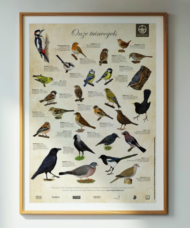 Vogelposter