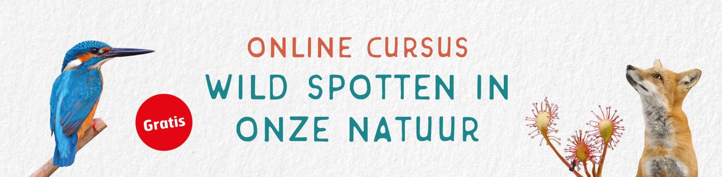 Cursus Wild Spotten in onze natuur