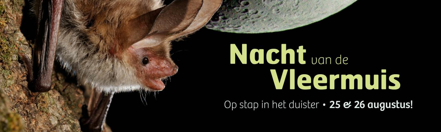 Banner Nacht van de Vleermuis 2023