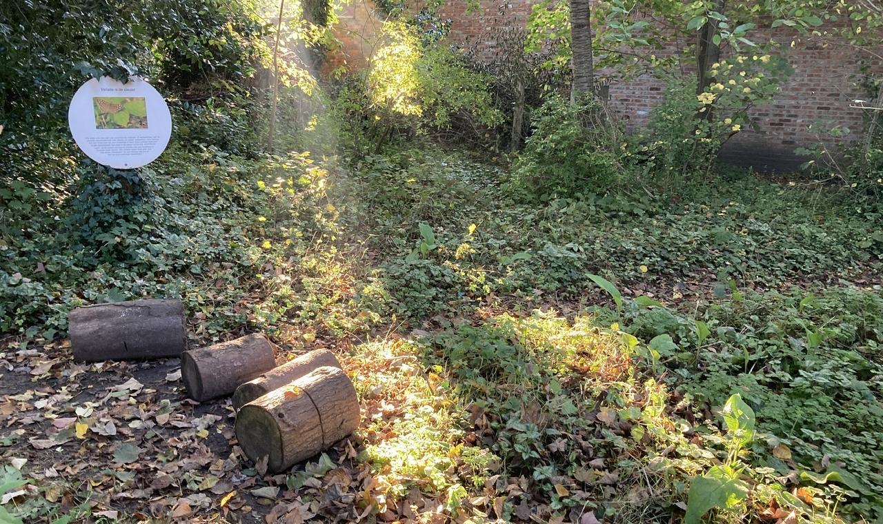 Ecologische tuin Natuurpunt Museum