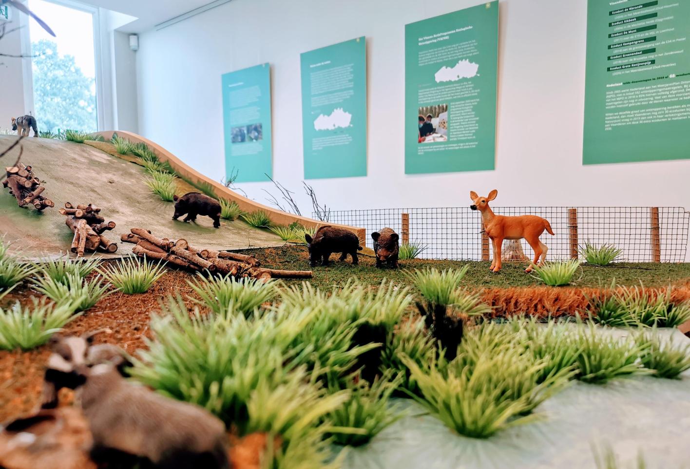 Tentoonstelling 'Egelwegels en paddenpaden'