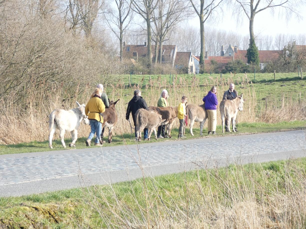 Ezelwandeling De Pulse