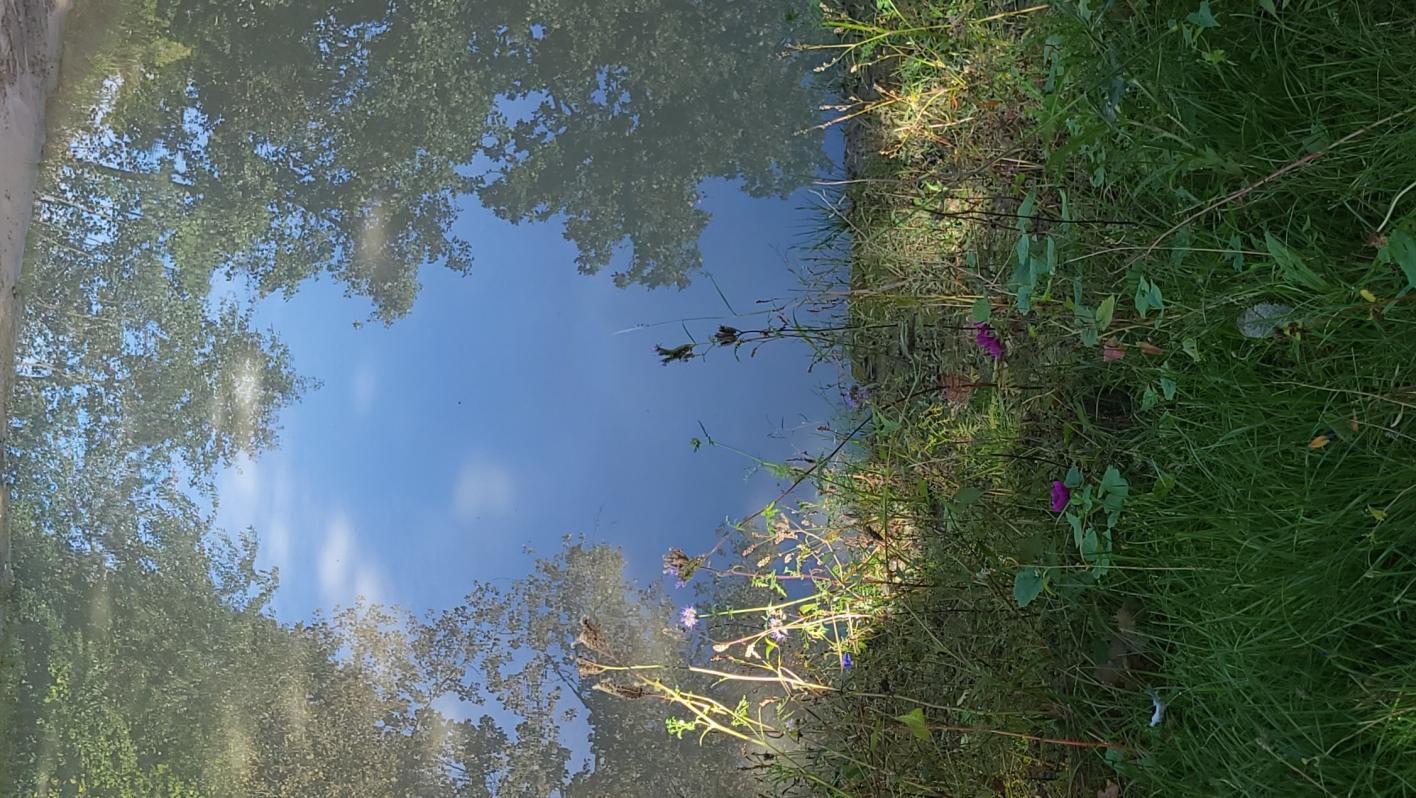 Poel Vandevelde reservaat