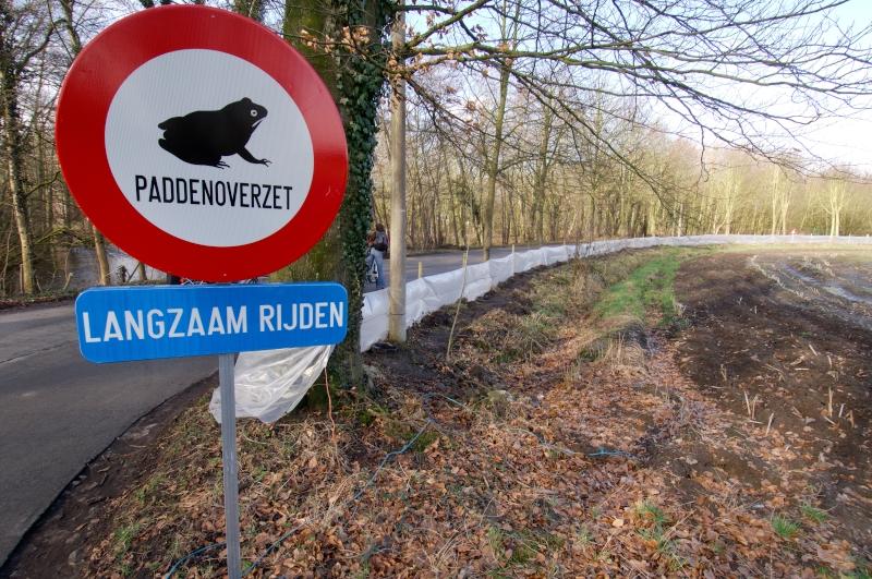 Paddenoverzet