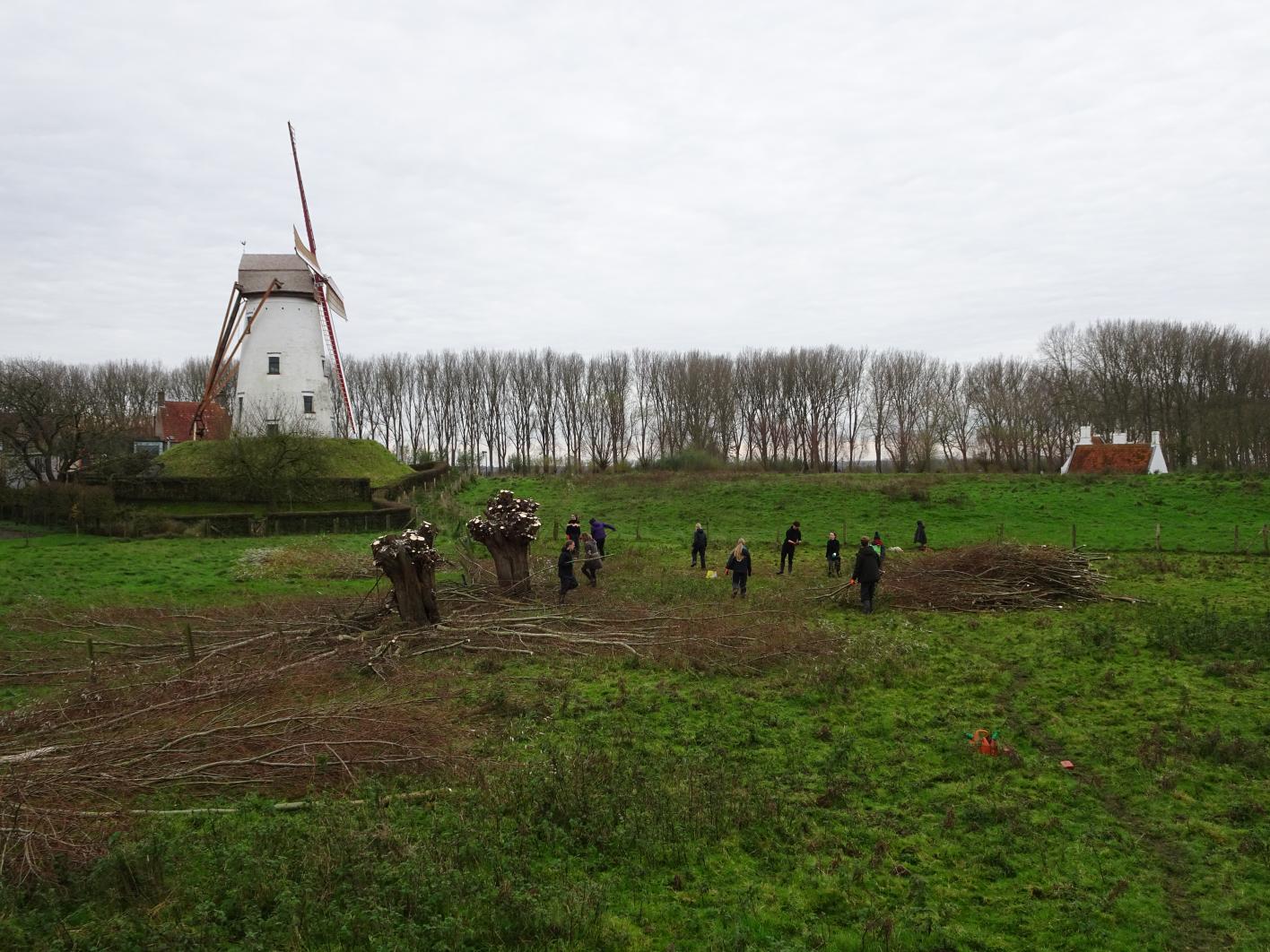 Beheerwerken in het gesloten reservaat 