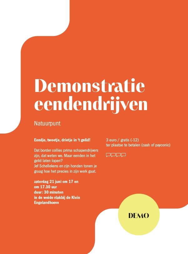 Demonstratie eendendrijven. Eendendrijven