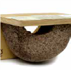 nest