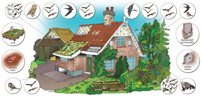 Faunahuis - natuurinclusief bouwen